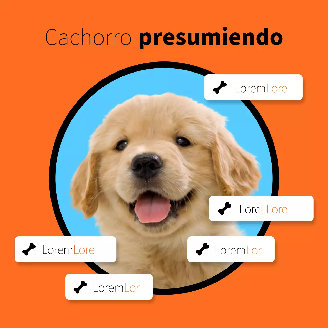 Un sencillo poste para presumir de cachorro en naranja y azul claro
