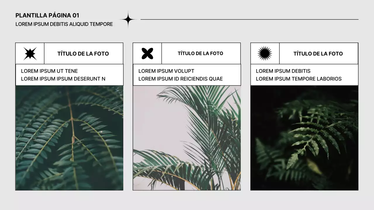 Gris Moderno Libre de Usar Plantilla Prospecto