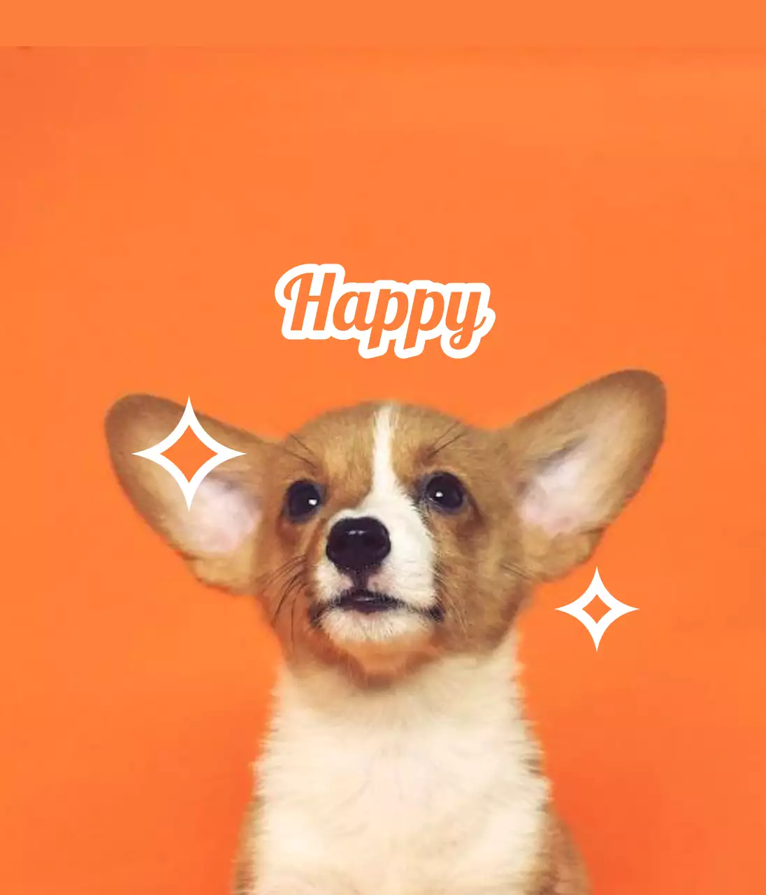 Design name tags with cute animal photos