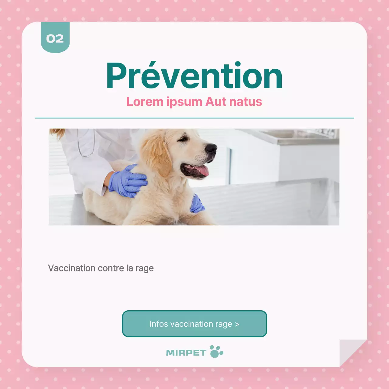 Promouvoir la santé des animaux de compagnie en rose et menthe