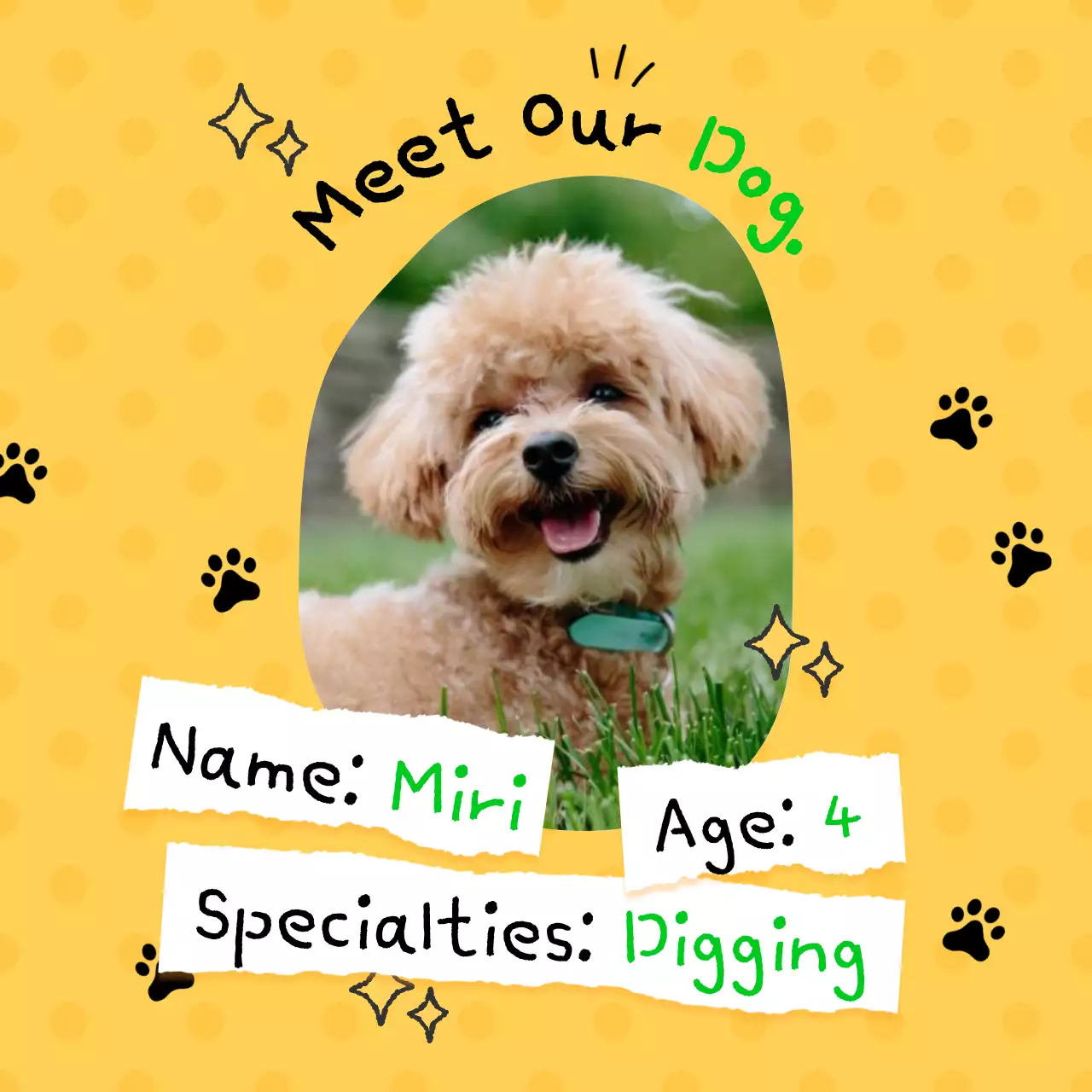 노란색 장난기 많은 애완동물 소개 소셜 미디어 게시물