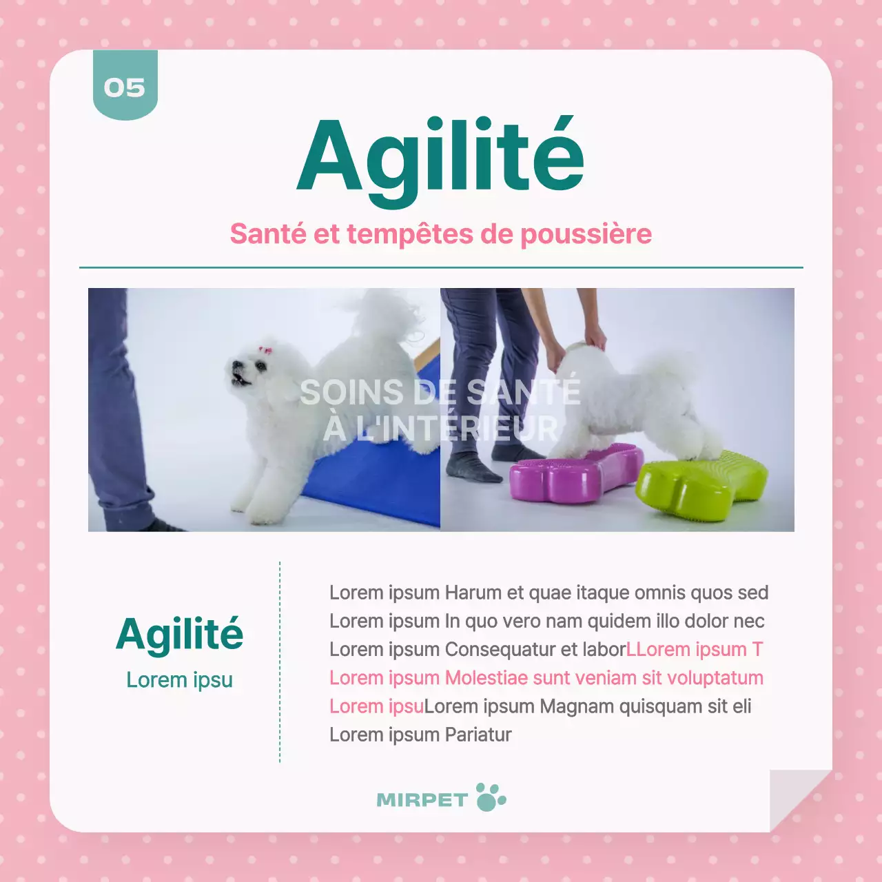 Promouvoir la santé des animaux de compagnie en rose et menthe