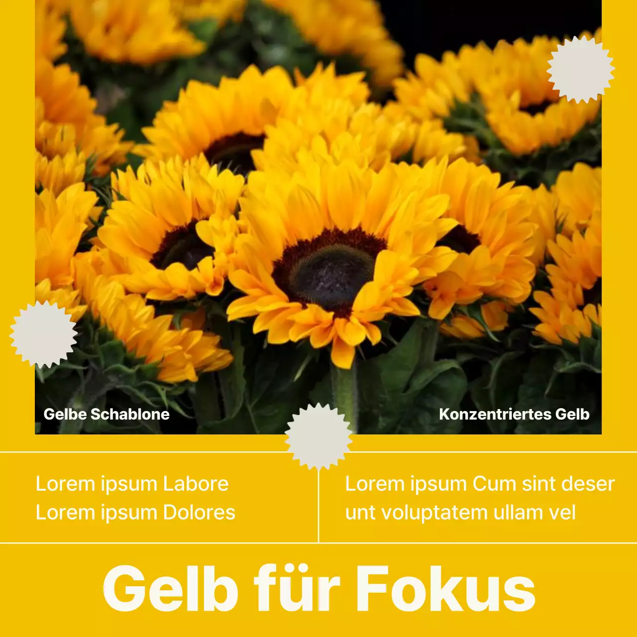 Schillernde und moderne Vorlage Newsletter
