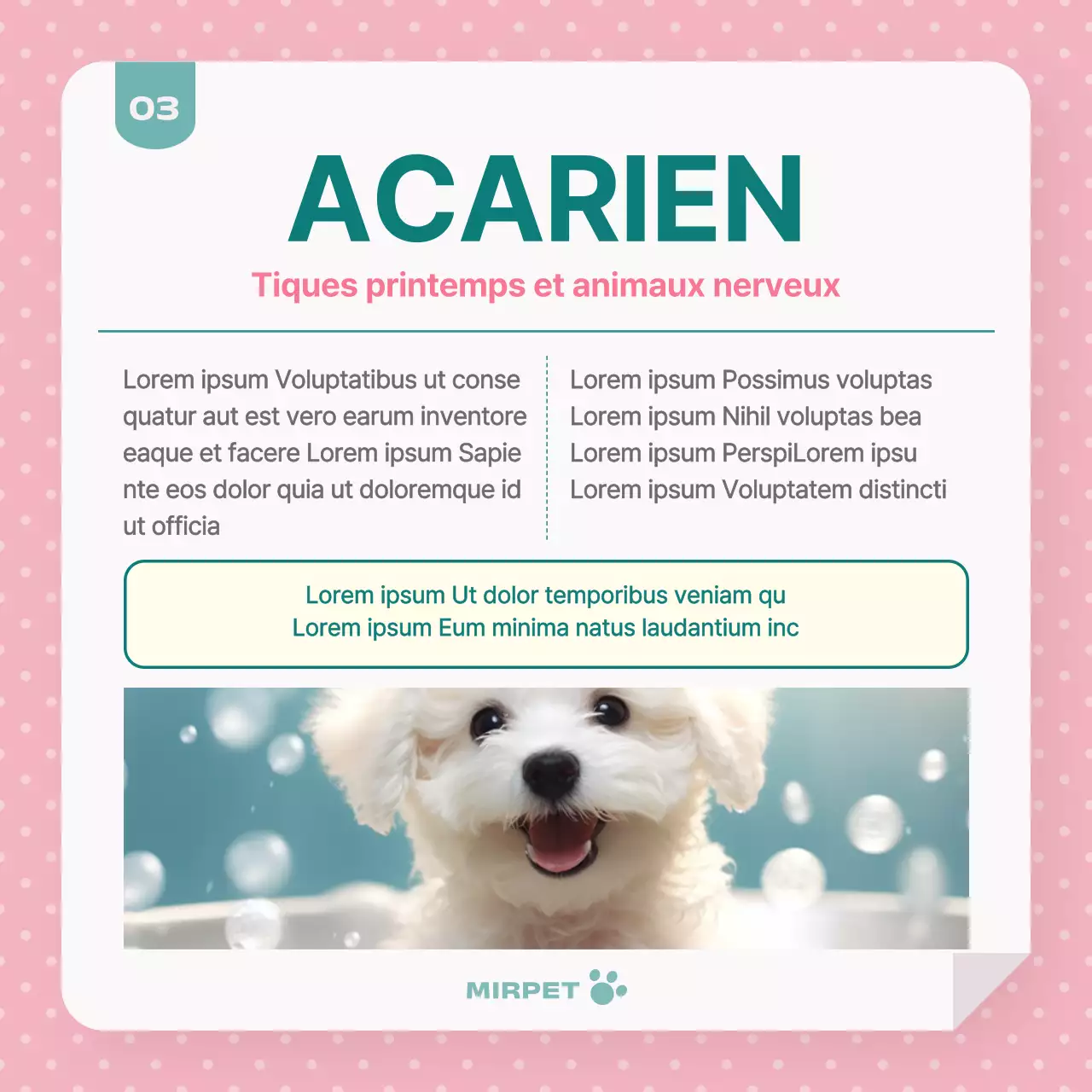 Promouvoir la santé des animaux de compagnie en rose et menthe