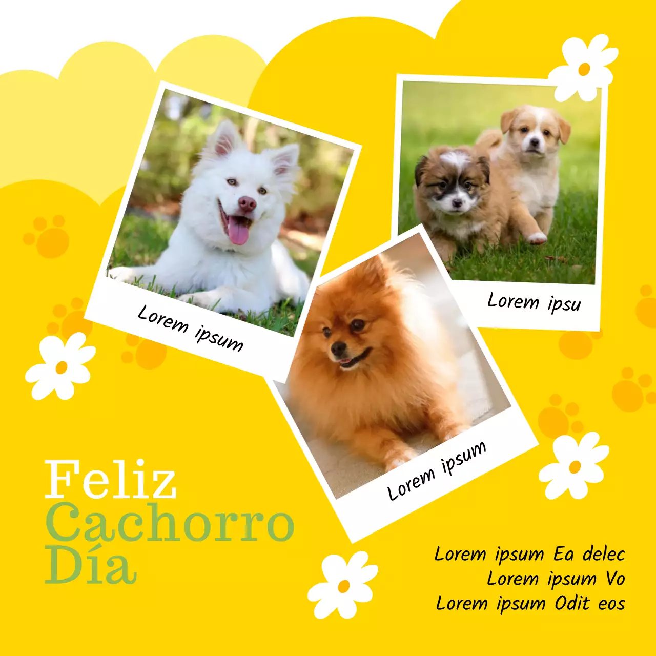 Promocione el Día Mundial del Cachorro con esta adorable combinación de colores amarillo y chartreuse