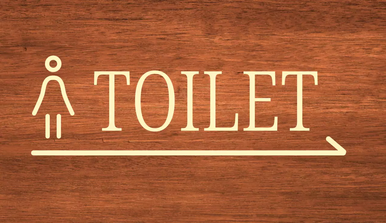 beige vrouw pictogram toilet locatie