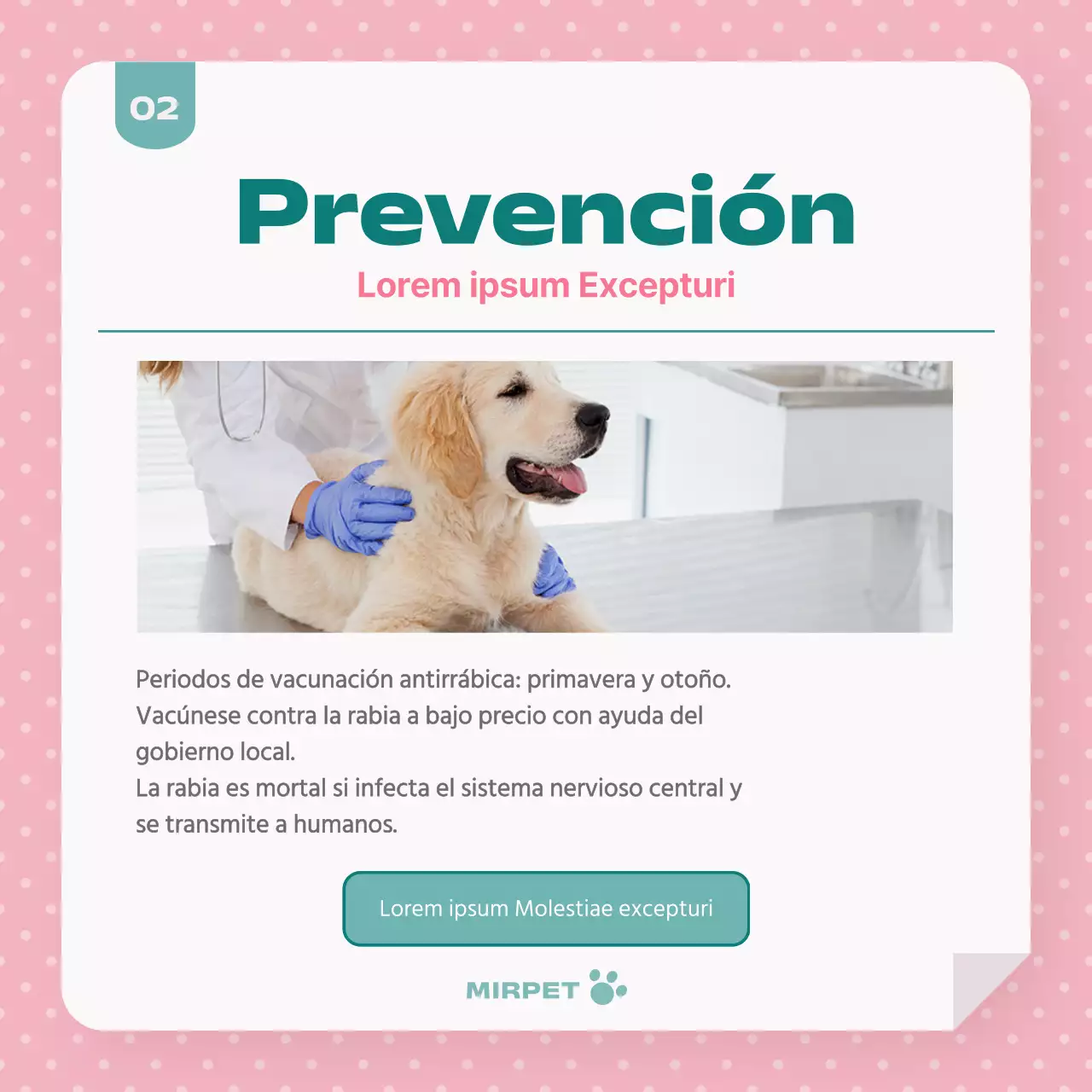 Promoción de la salud de las mascotas en menta y rosa