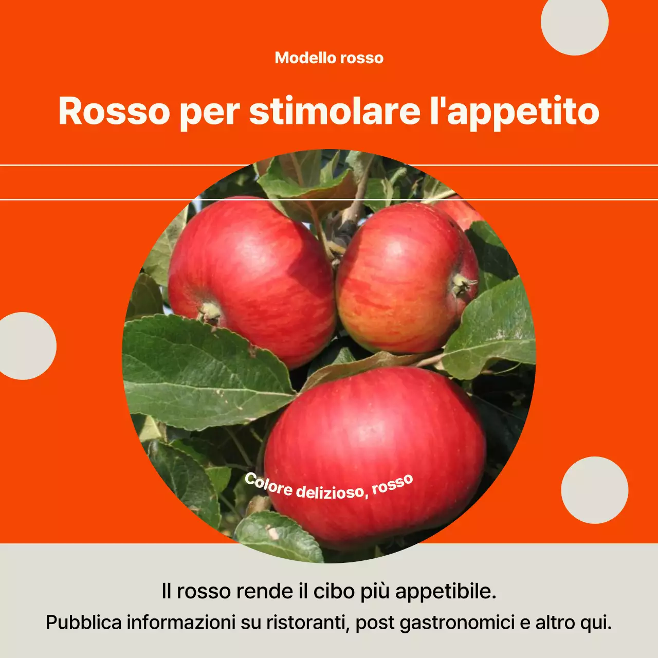 Template Newsletter cangiante e moderno