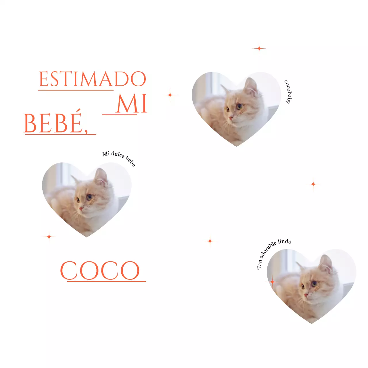 Adorable mercancía con fotos de corazones de gato y purpurina roja