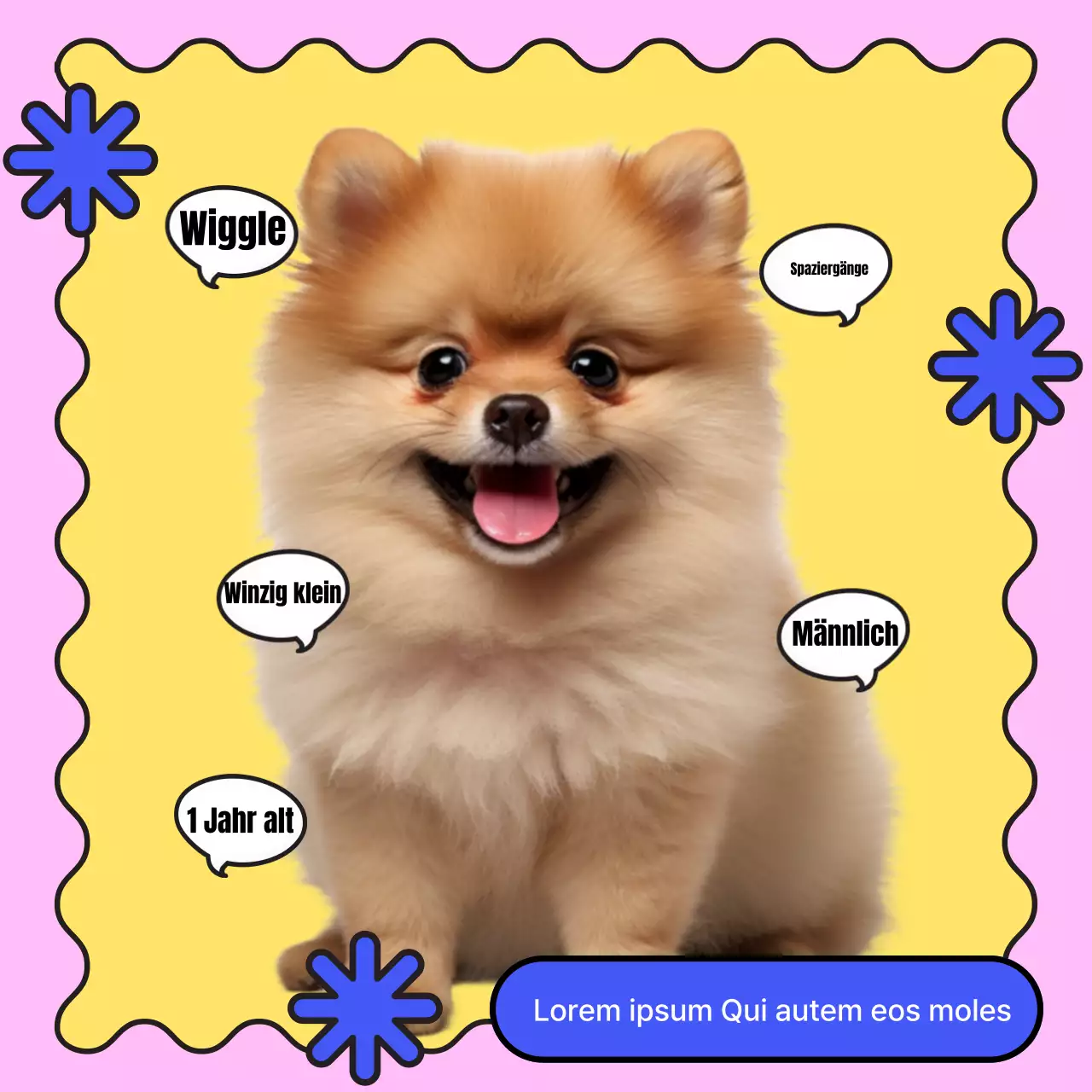 Förderung einer grundlegenden Einführung für blaue und gelbe Welpen