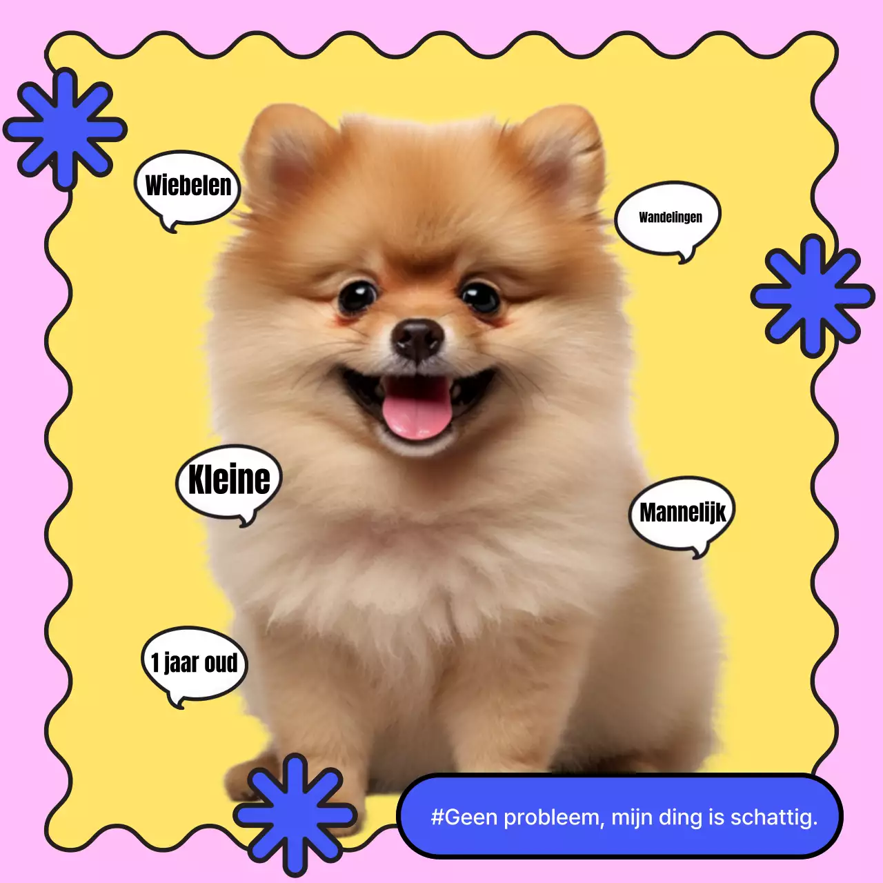 Bevorder een basisintroductie voor blauwe en gele puppy's