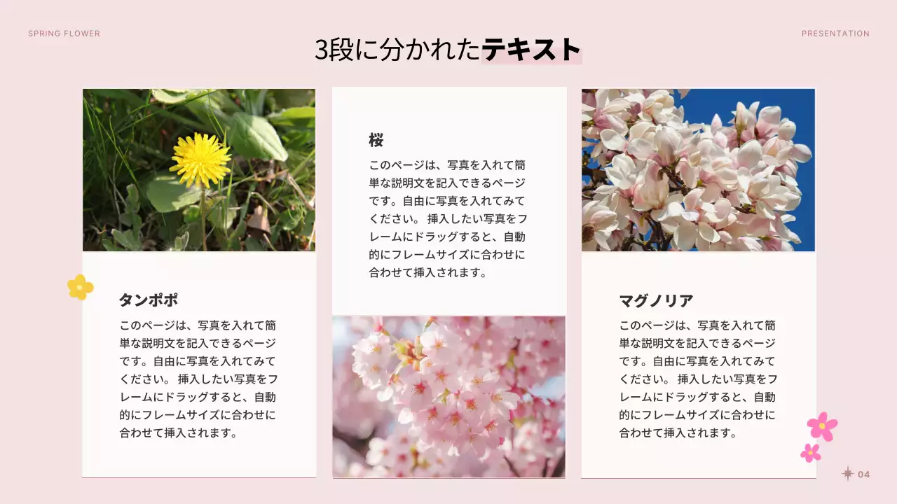 ピンク 上品 春 プレゼンテーション