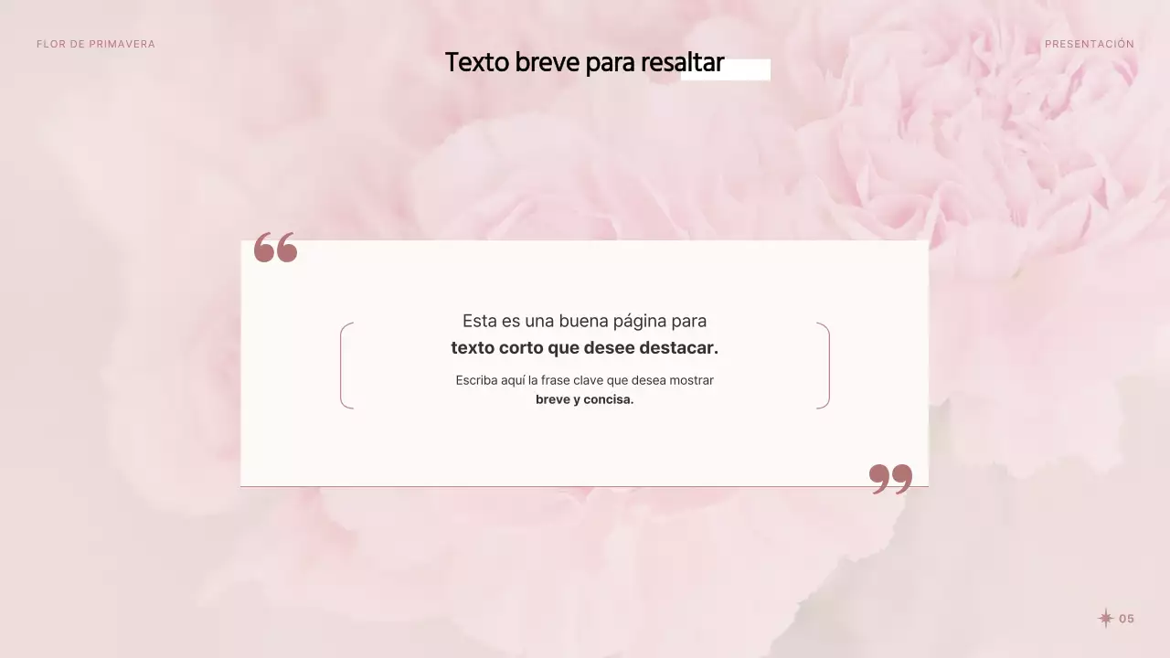 Bonitas flores de primavera en presentación rosa y blanca