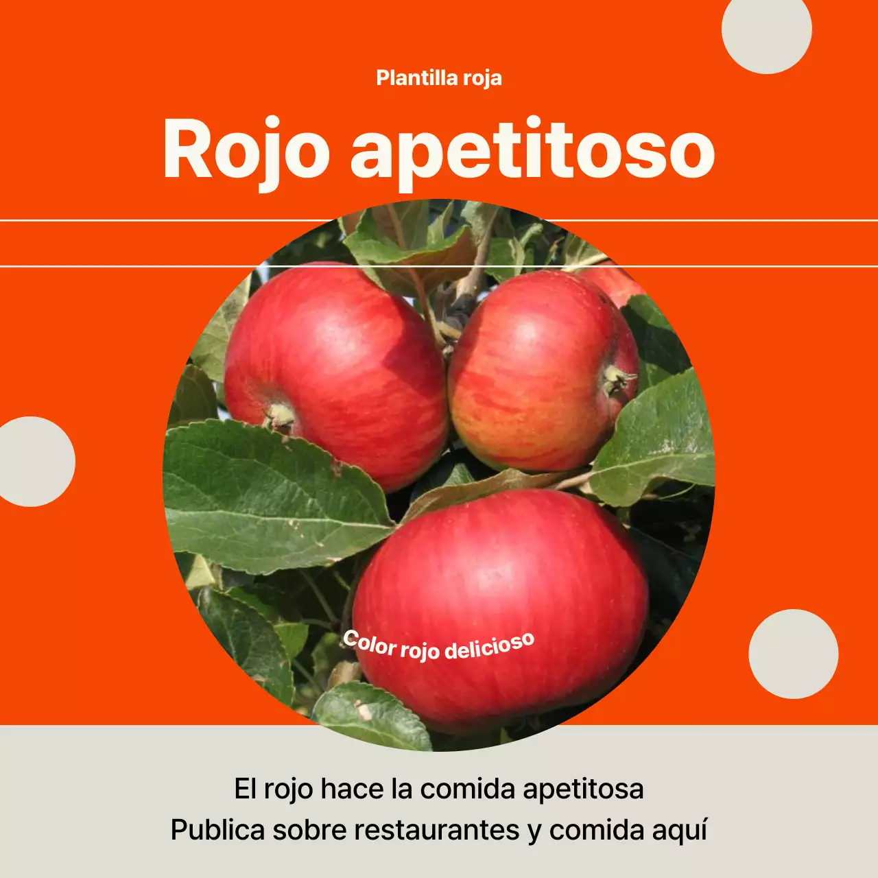 Plantilla de boletín de noticias iridiscente y moderna