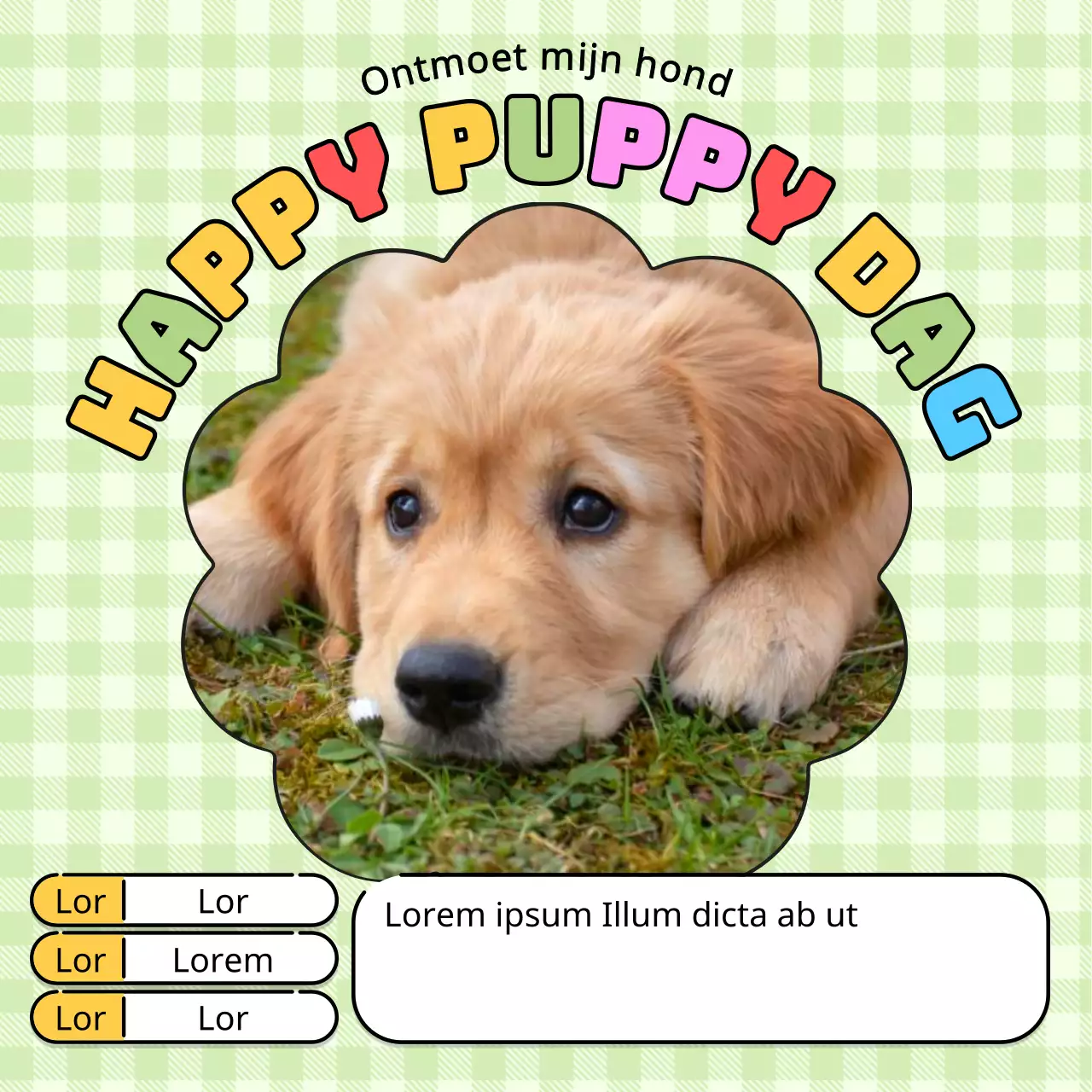 Promoot een kitscherige puppy in chartreuse