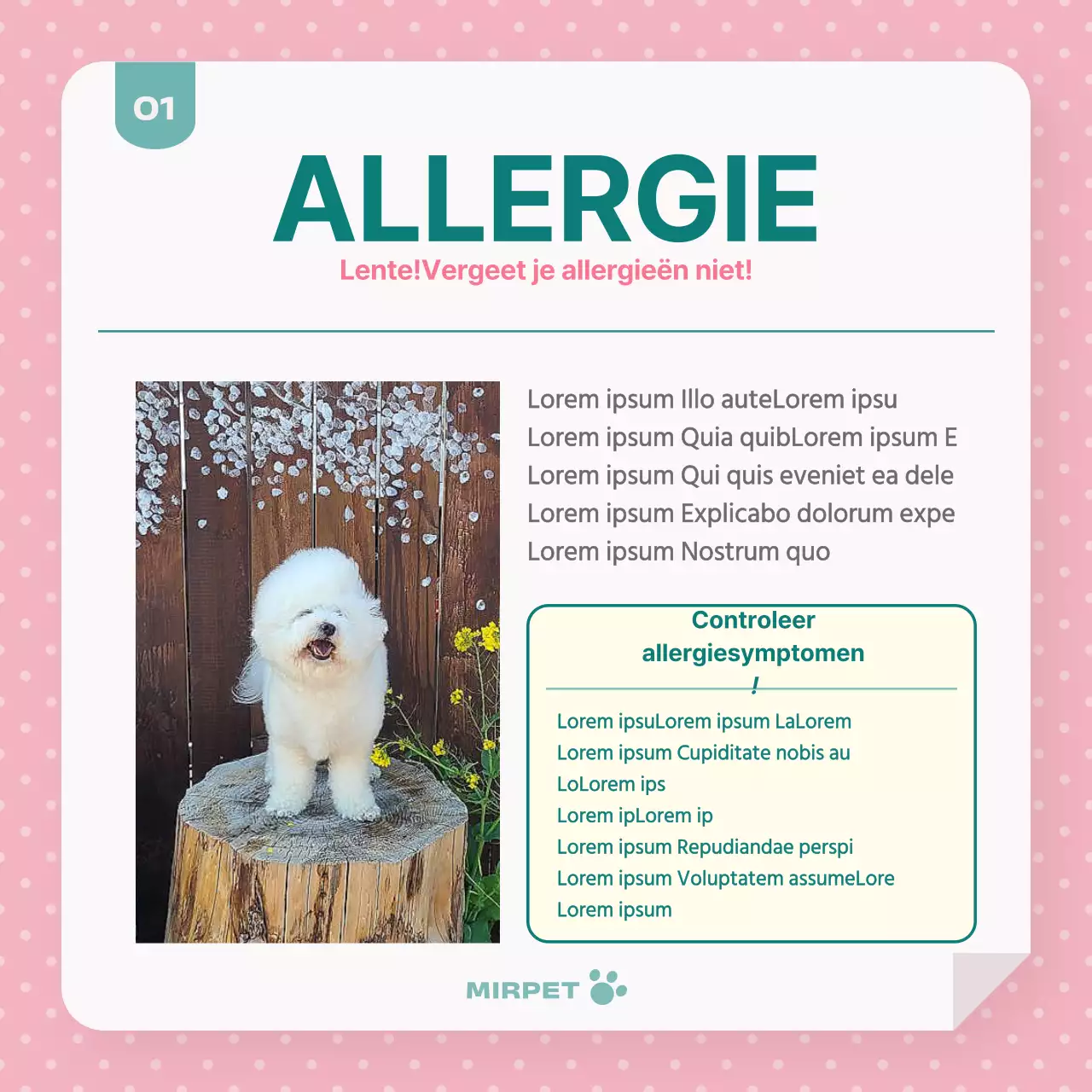 Gezondheidsbevordering voor huisdieren in mint en roze