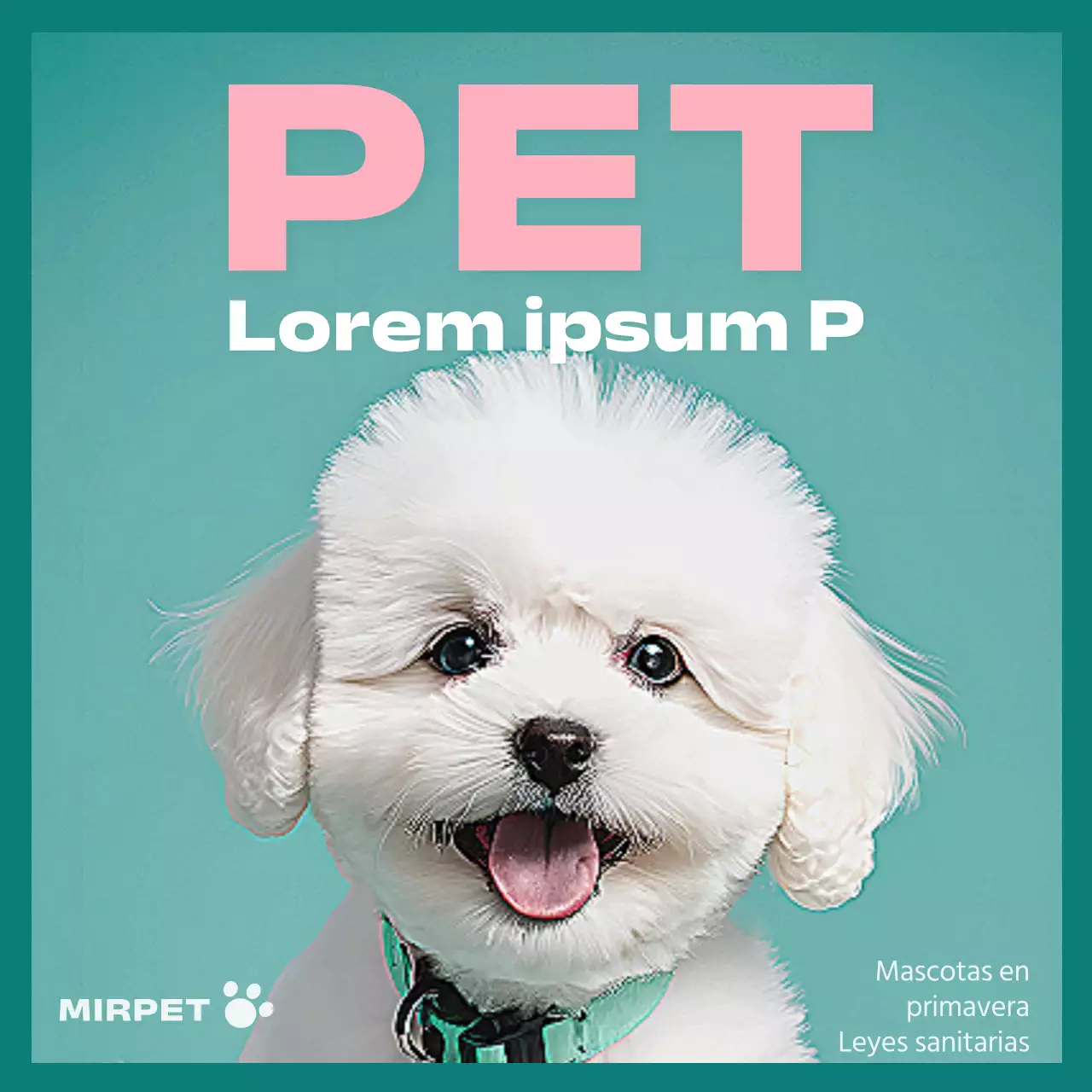 Promoción de la salud de las mascotas en menta y rosa