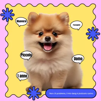 Promuovere un'introduzione di base ai cuccioli blu e gialli