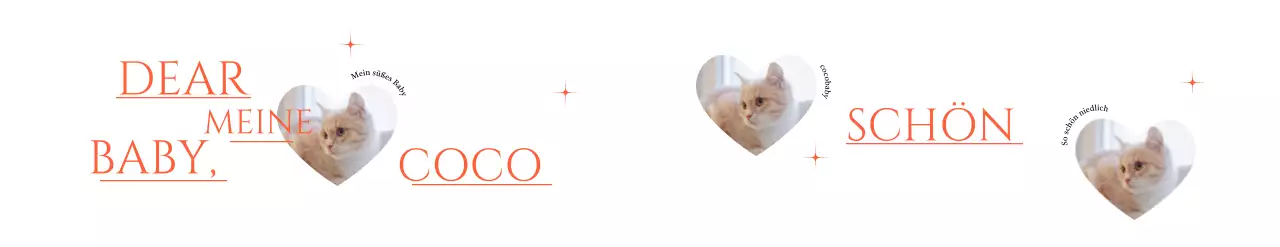 Bezaubernde Artikel mit Katzenherz-Fotos und rotem Glitter