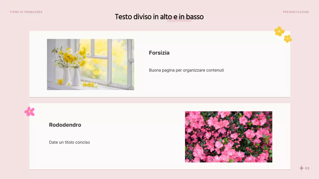 Graziosi fiori primaverili in rosa e bianco