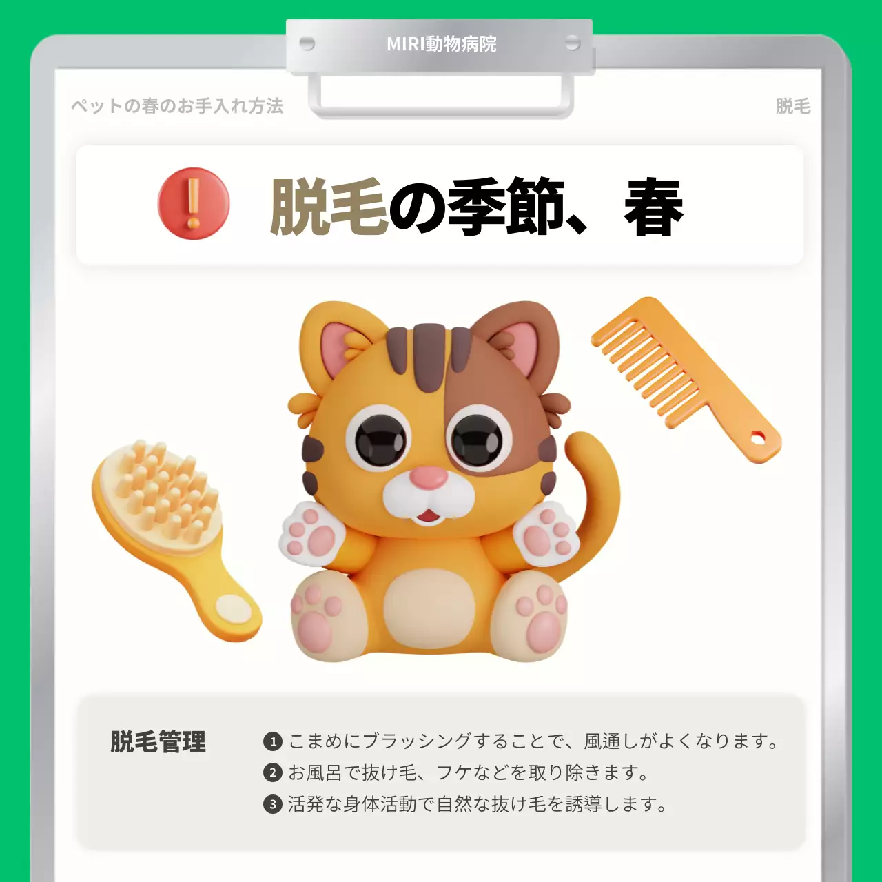 緑 かわいい ペット ポスター Instagram カルーセル