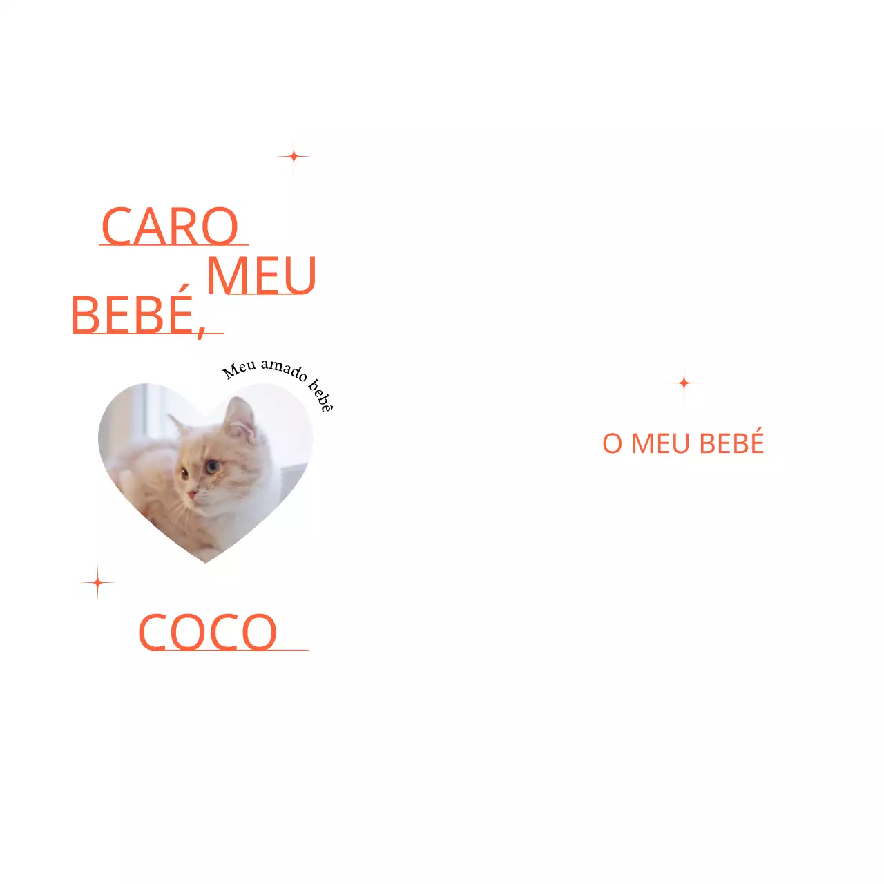Mercadoria adorável com fotografias de corações de gatos e purpurinas vermelhas