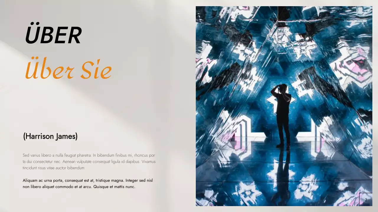 Schwarz-orangefarbenes modernes Fotografie-Portfolio