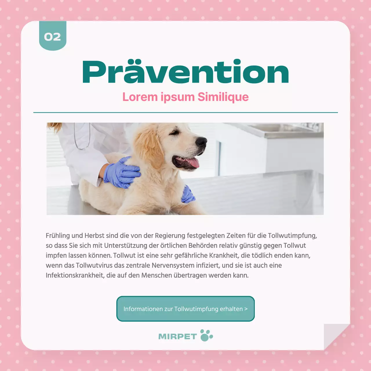 Förderung der Gesundheitsfürsorge für Haustiere in Mint und Rosa