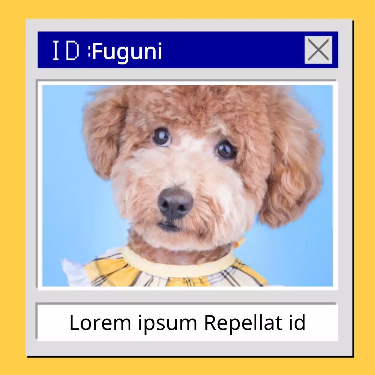 Apresentamos um cachorrinho cibernético amarelo e azul @puppypics