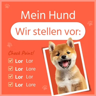 Eine Einführung in unseren kleinen orangenen Hund