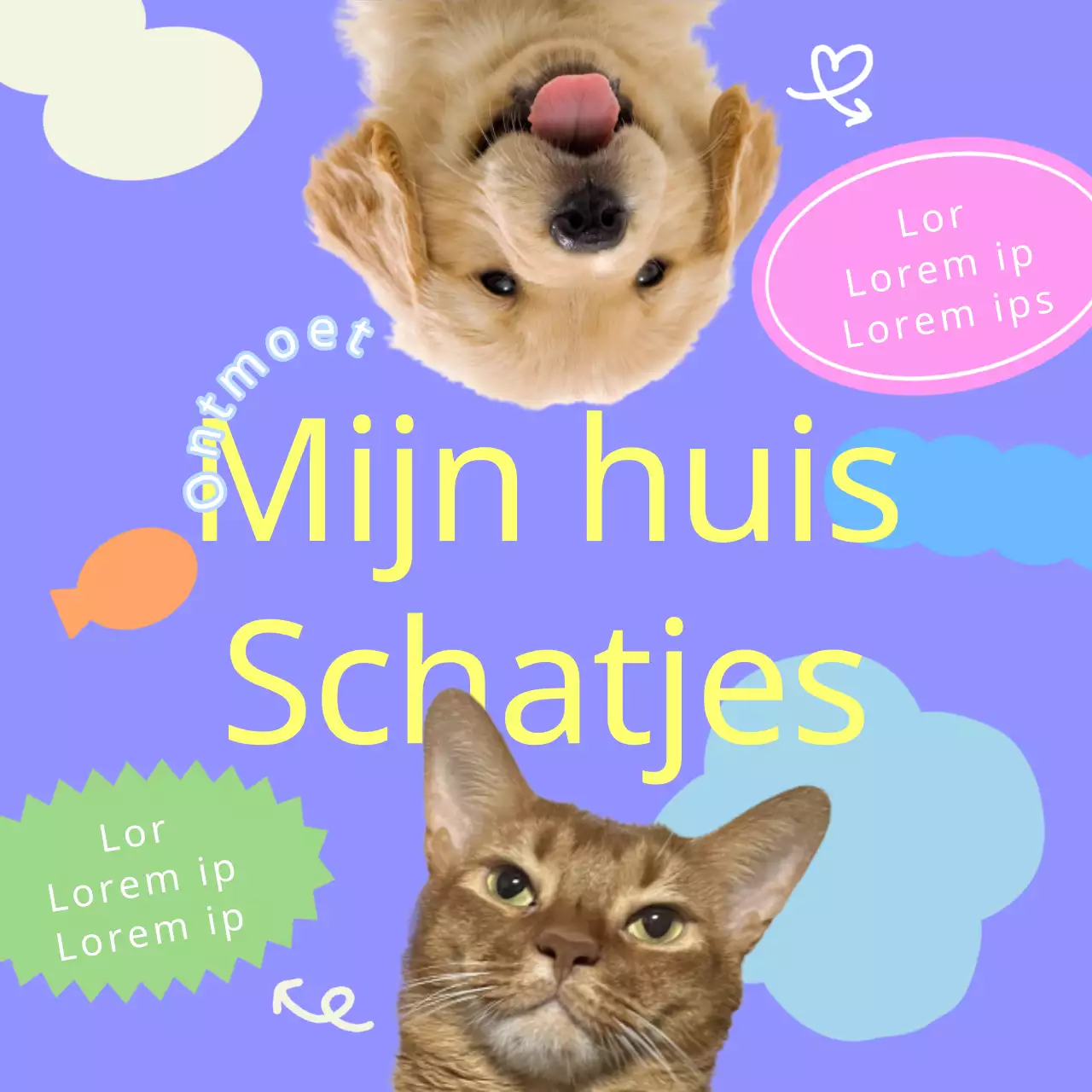 Promoot je paarse harige vriend