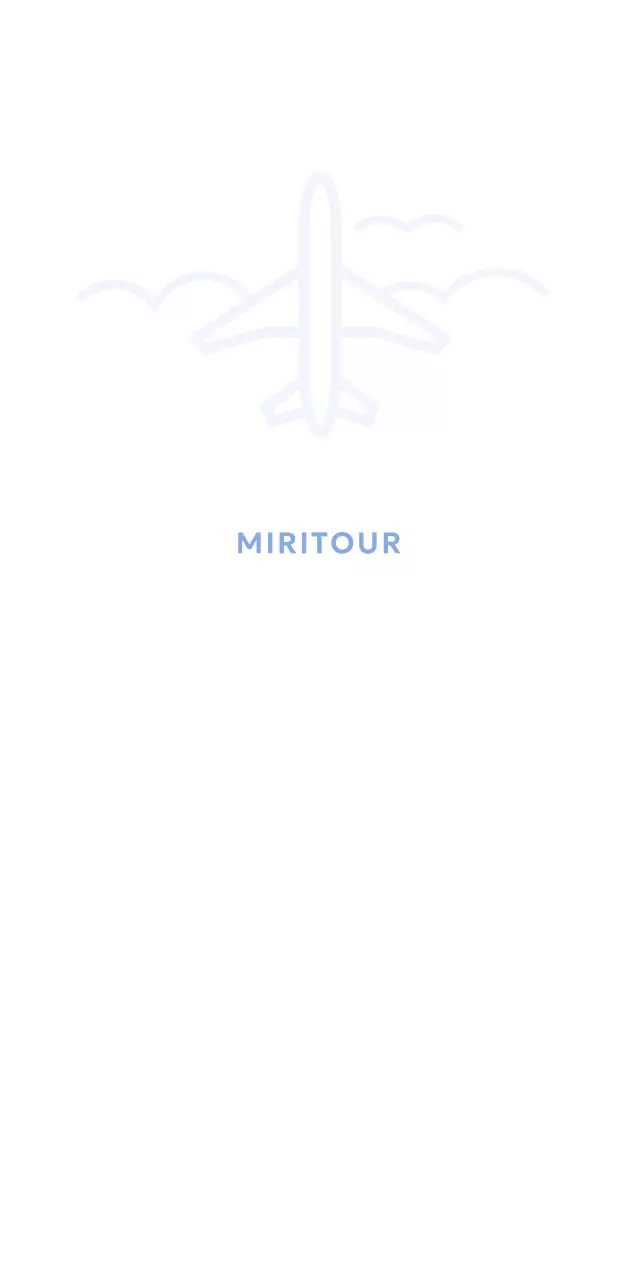 Simple travel agency merchandise with a blue grid and an airplane illustration.