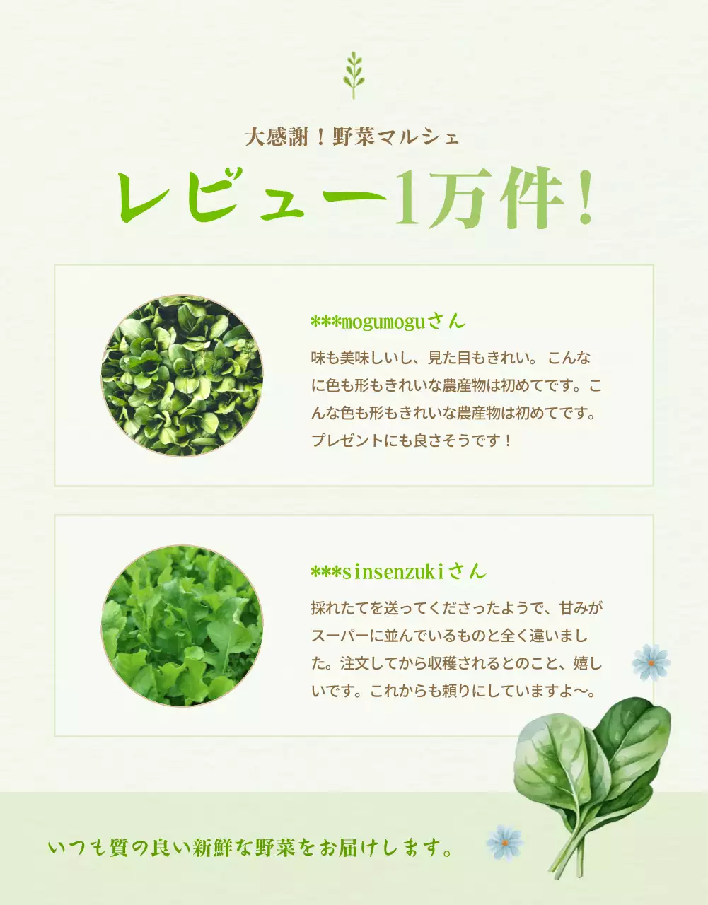 緑 シンプル 野菜 パンフレット 詳細ページ