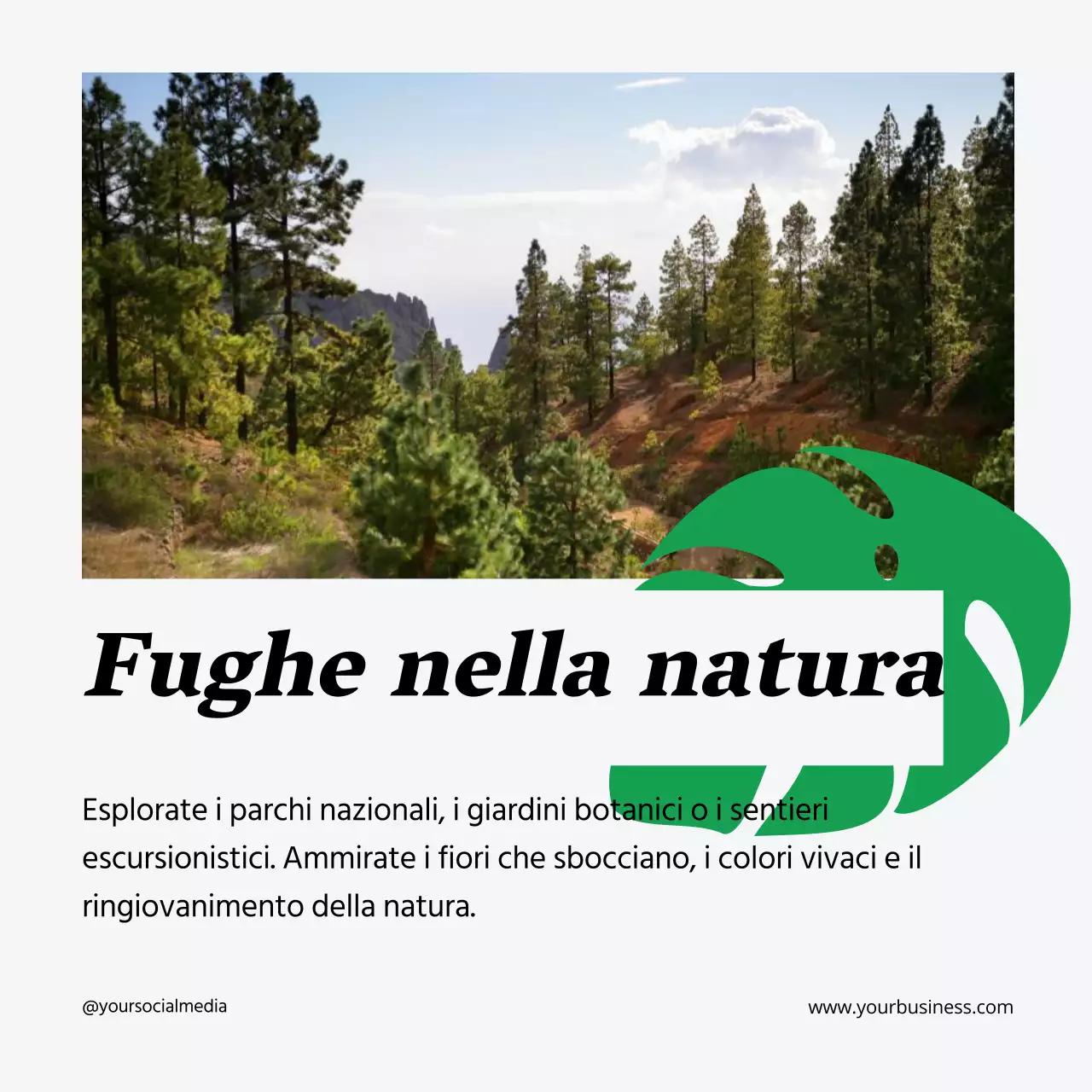 Guida alle attività per le vacanze di primavera geometriche bianche e neon