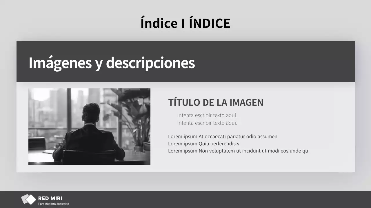 Informes sencillos y en blanco y gris para ONG