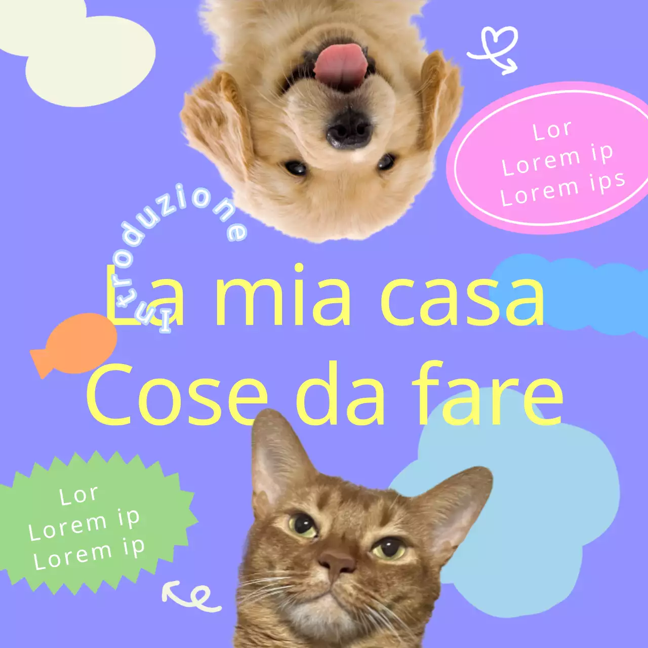 Promuovete il vostro amico peloso viola