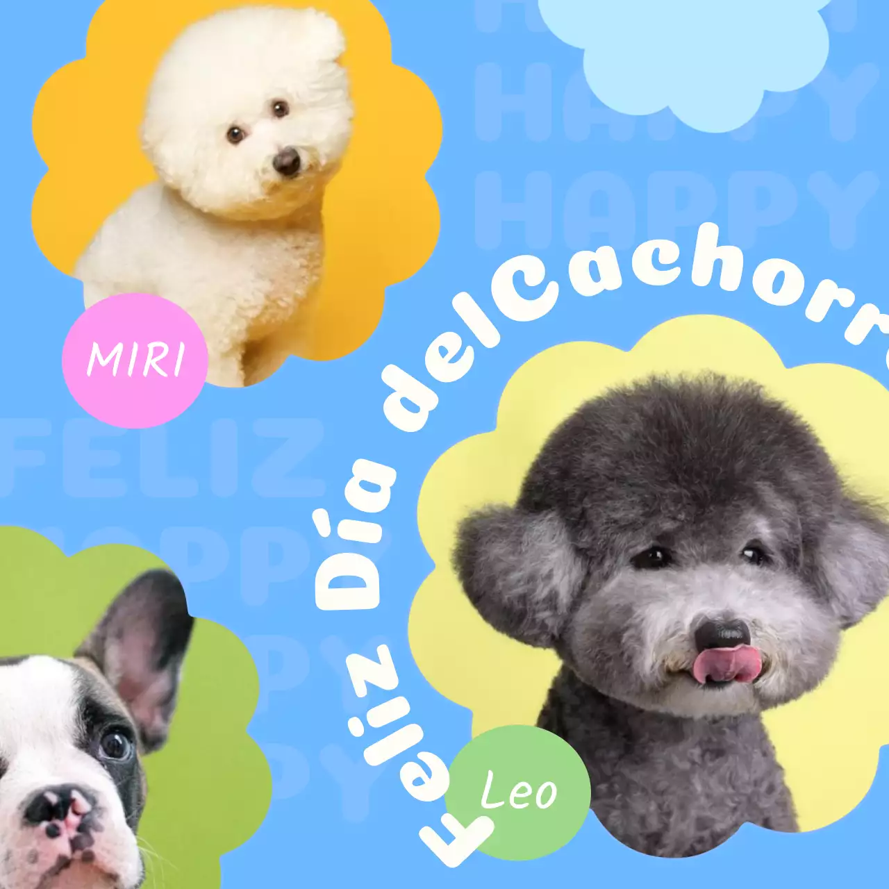 Promociona a tu cachorro con una foto en un bonito marco floral azul