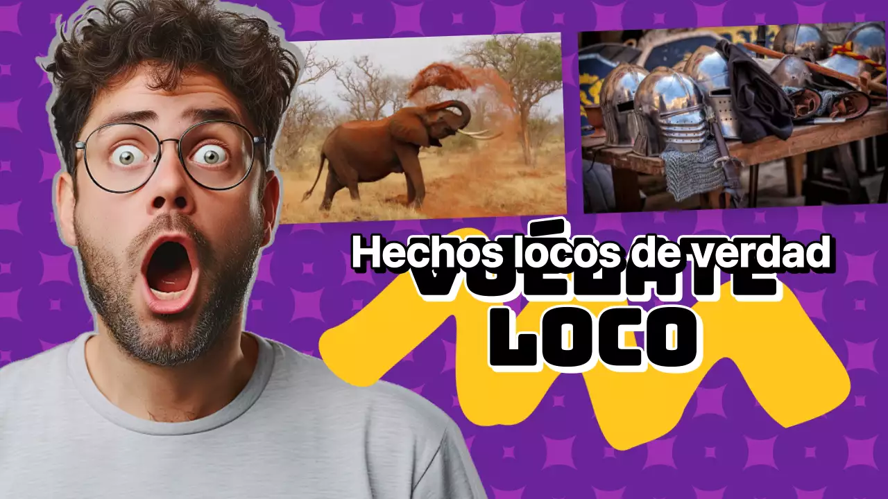 Púrpura y amarillo Bold Clickbait Fun Facts Video