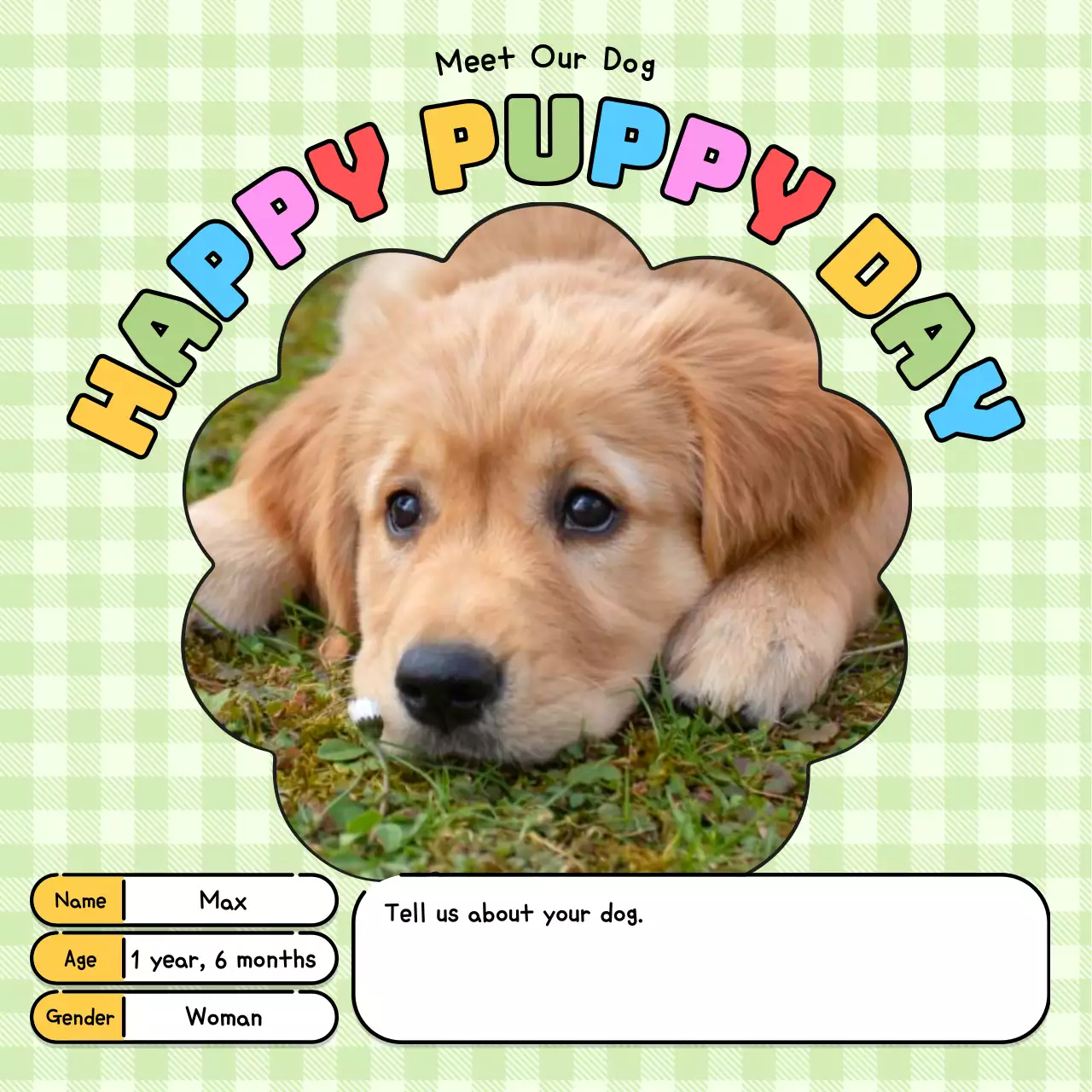Colorful Playful Pet Announcement Social Media Post