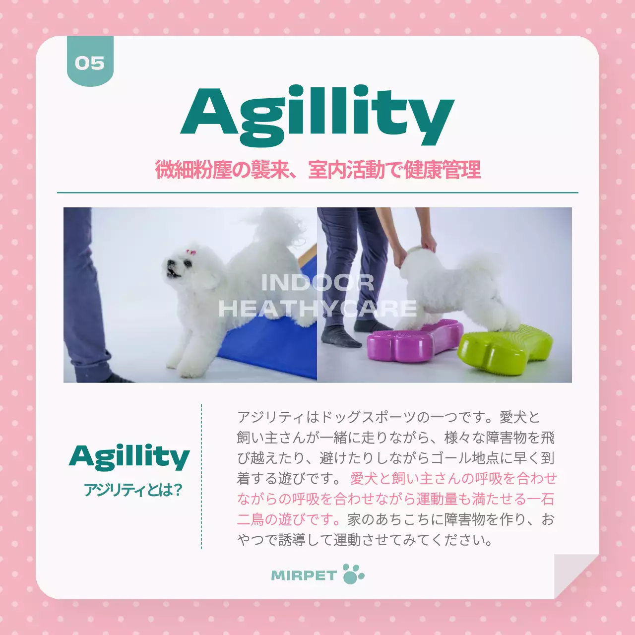 水色 かわいい ペット パンフレット Instagram カルーセル