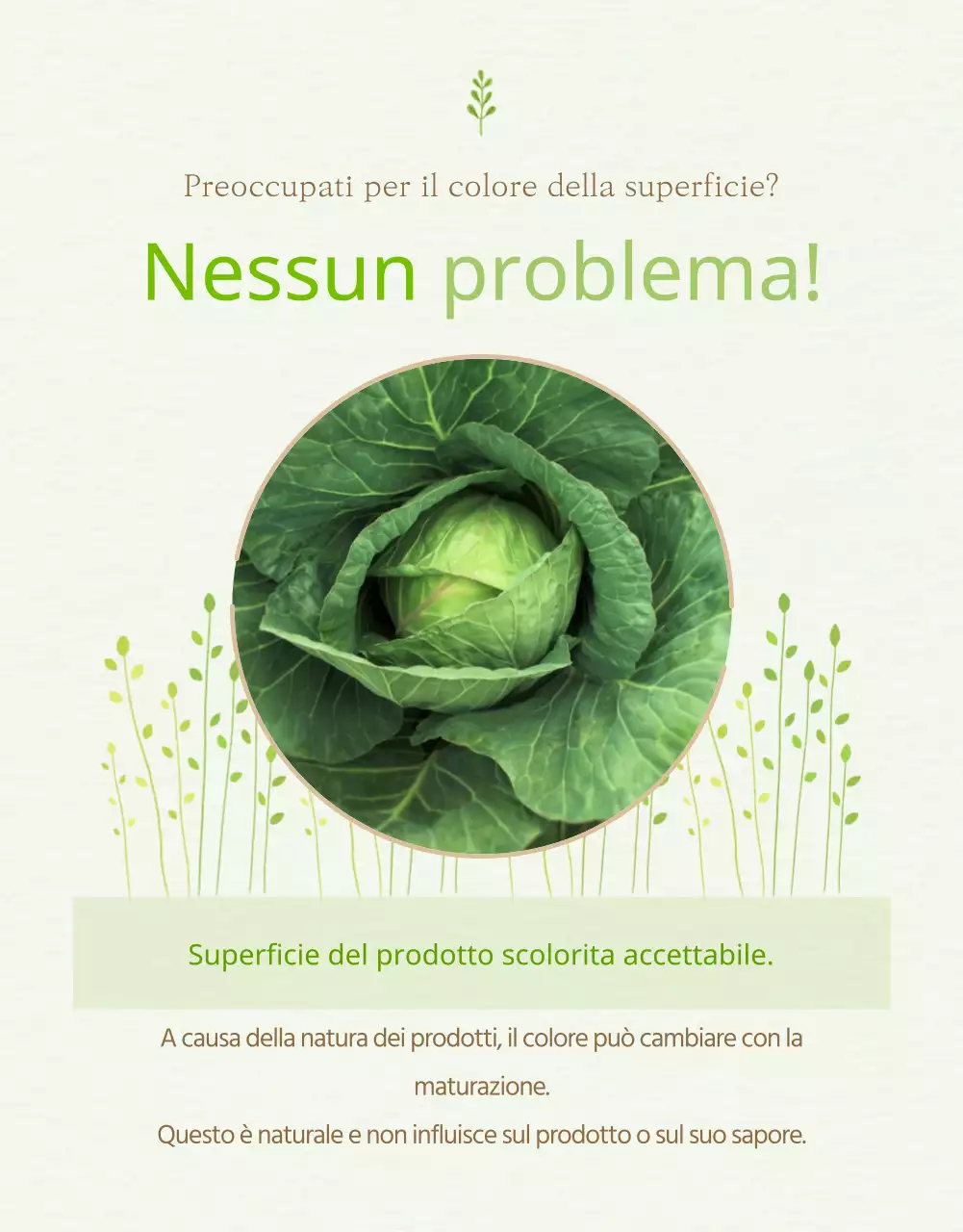 Spiegazione dei prodotti verdi e gialli in vendita