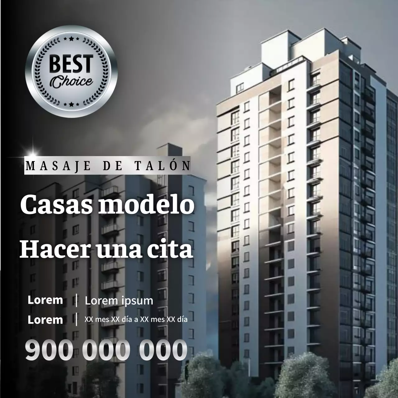 Promover citas para visitar la casa modelo de ginebra de lujo negro y plata