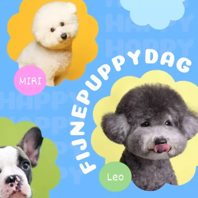 Promoot je puppy met een foto in een blauw, mooi, gebloemd frame