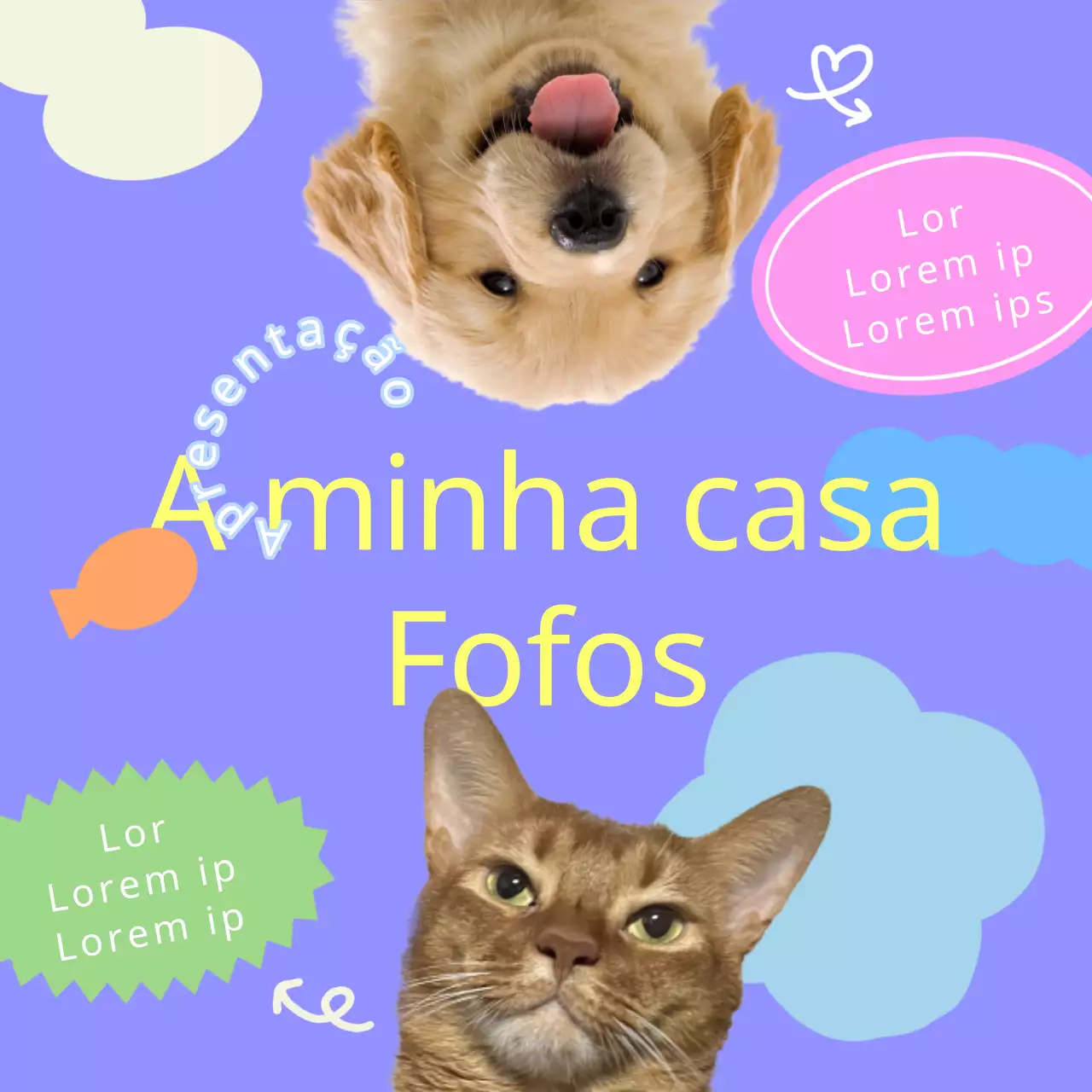Promova o seu amigo peludo roxo