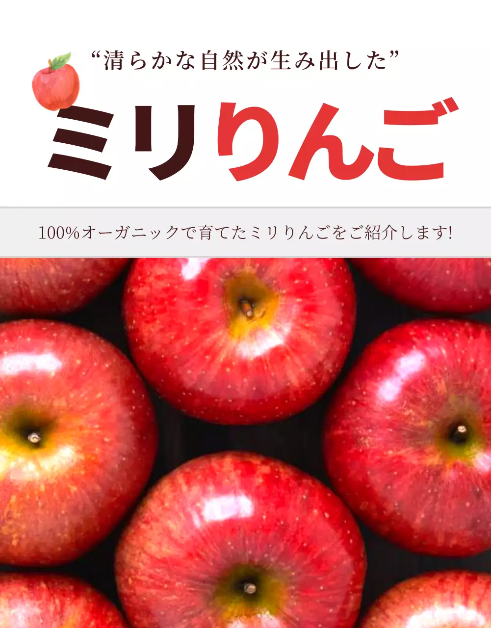 赤 シンプル りんご パンフレット 詳細ページ