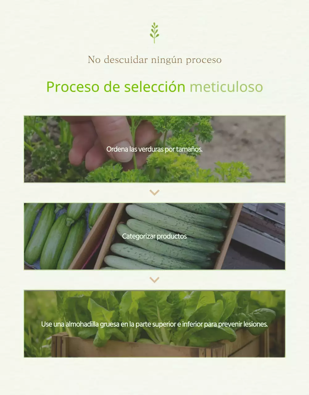 Explicación de los productos verdes y amarillos a la venta