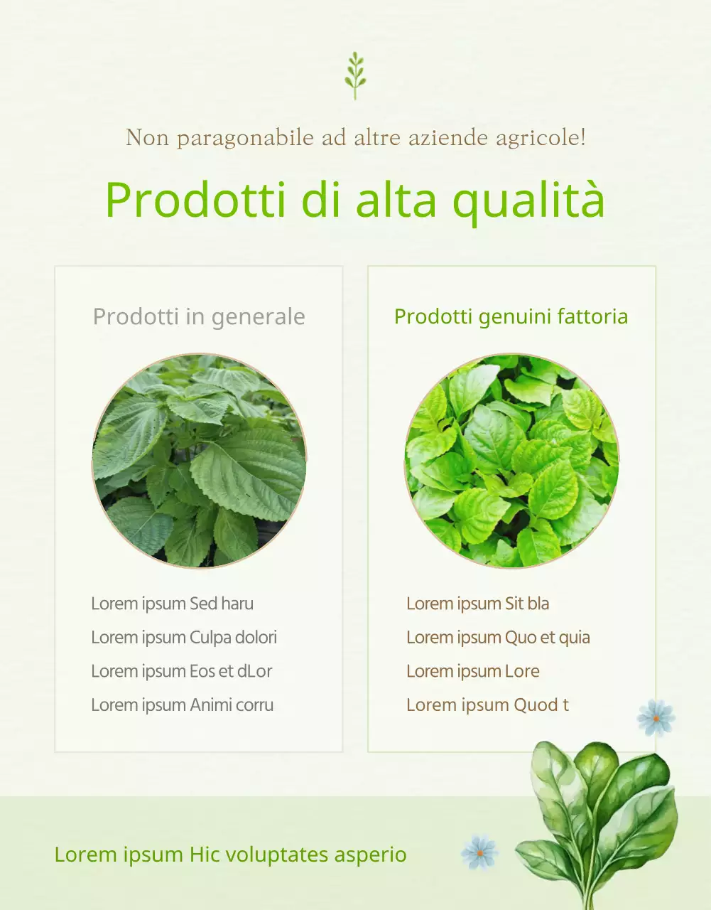 Spiegazione dei prodotti verdi e gialli in vendita