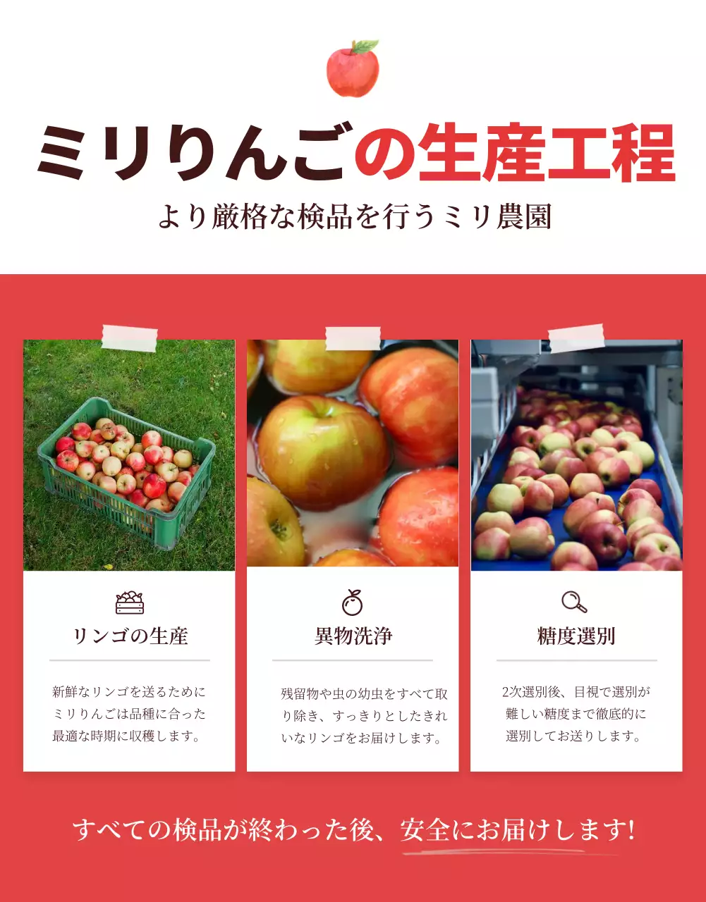 赤 シンプル りんご パンフレット 詳細ページ