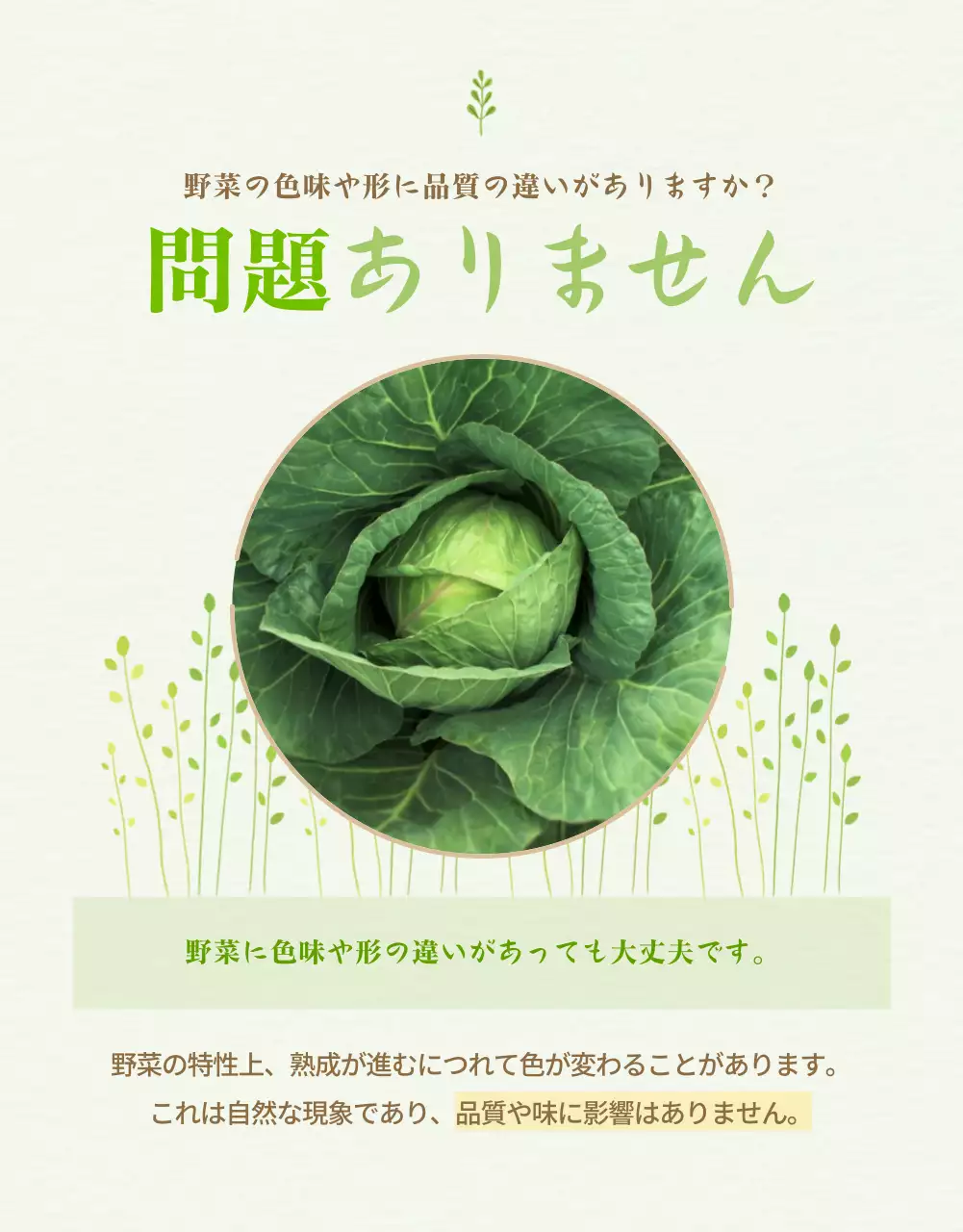 緑 シンプル 野菜 パンフレット 詳細ページ