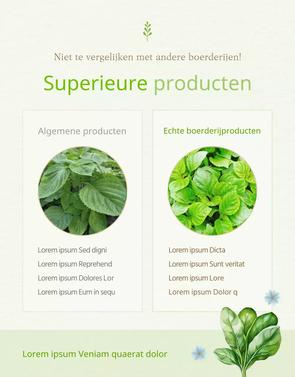 Uitleg over de felgroene en gele producten die te koop zijn